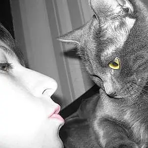 Nom Chartreux Chat Ely