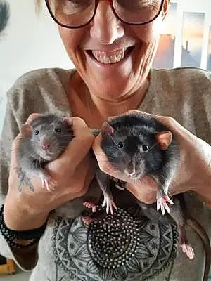 Rat Blackos Et Grisoulle