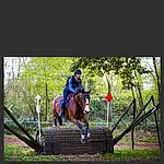Cheval, Bridle, English Riding, Equestrianism, Rein, Eventing, Outdoor Recreation, Halter, Recreation, Animal Sports, Saddle, Show Jumping, Equitation, Equestrian Sport, Horse Supplies, Horse Tack, Website, Sports, Individual Sports, Photography