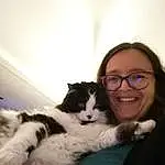 Hair, Lunettes, Head, Sourire, Chat, Yeux, Eyebrow, Comfort, Gesture, Carnivore, Iris, Felidae, Happy, Black Hair, Moustaches, Small To Medium-sized Cats, Long Hair, Lap, Beard, Eyewear