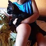 Peau, Chat, Shoulder, Comfort, Carnivore, Felidae, Lap, Thigh, Finger, Moustaches, Faon, Small To Medium-sized Cats, Black Hair, Knee, Human Leg, Foot, Happy, Elbow, Assis, Nail