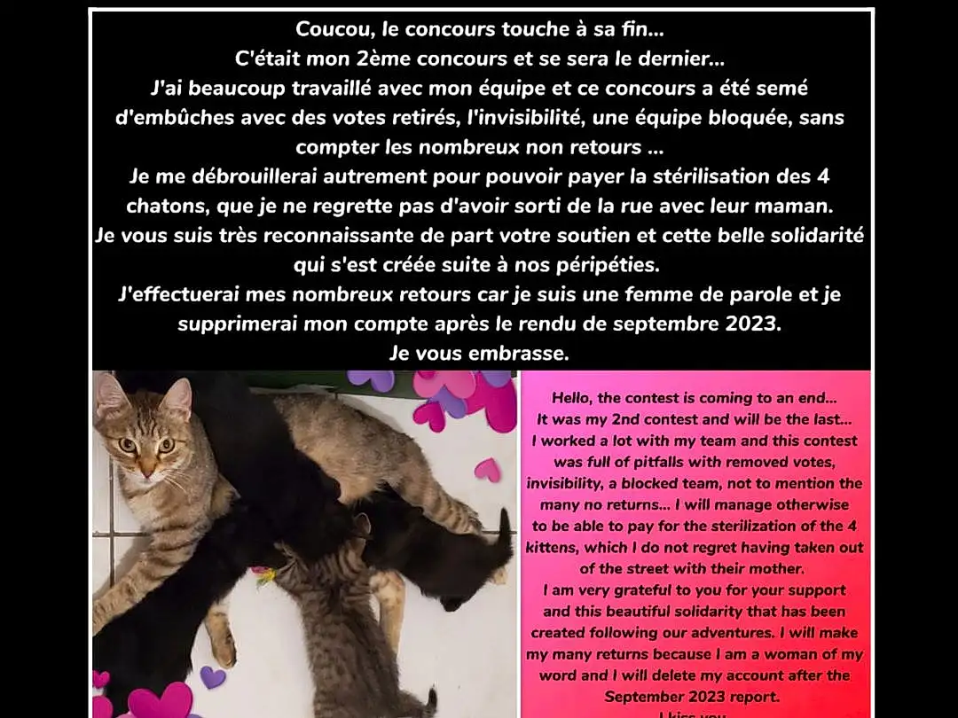 Human Body, Chat, Font, Carnivore, Felidae, Magenta, Small To Medium-sized Cats, Moustaches, LÃ©gende de la photo, Domestic Short-haired Cat, Queue, Fictional Character, Poil, Art, Terrestrial Animal, Graphic Design, Advertising, Patte, Soil