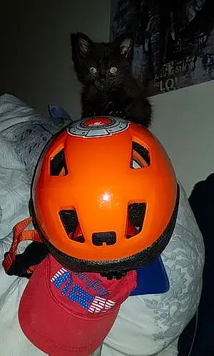 Halloween Chat Yoko
