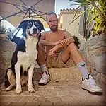 Chien, Plante, Shorts, Jambe, Carnivore, Race de chien, Faon, Sneakers, Chien de compagnie, Working Animal, Thigh, Chapi Chapo, Leisure, Boot, Arecales, Eyewear, Assis, Guard Dog, Fun