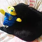 Black, Chats noirs, Stuffed Toy, Peluches, Chat, Jouets, Textile, Linens, Felidae, Small To Medium-sized Cats, Black Hair, Oreille