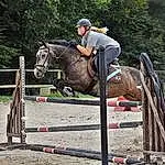 Cheval, Show Jumping, Bridle, Rein, Halter, English Riding, Equestrianism, Horse Supplies, Animal Sports, Eventing, Horse Tack, Equitation, Saddle, Jumping, Equestrian, Outdoor Recreation, Cross-country Equestrianism