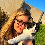 Chat, Felidae, Moustaches, Small To Medium-sized Cats, Lunettes, Poil, Yeux, Carnivore, Long Hair, Photography, Chat de lâ€™EgÃ©e, Domestic Short-haired Cat