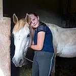 Cheval, Mane, Mare, Riding Instructor, Horse Grooming, Stable, Horse Supplies, Stallion, Horse Trainer, Livestock