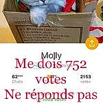 Chat, Carnivore, Font, Felidae, Moustaches, Pet Supply, Small To Medium-sized Cats, Poster, Box, Publication, Cat Supply, LÃ©gende de la photo, Event, Domestic Short-haired Cat, Packaging And Labeling, Advertising, Holiday, Art, Screenshot, Paper Product