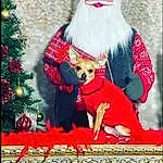 Beard, Christmas Ornament, Santa Claus, Holiday Ornament, Red, Christmas Tree, Holiday, Event, NoÃ«l, Rectangle, Christmas Eve, Christmas Decoration, Ornament, Happy, Lap, Facial Hair, Chapi Chapo, Fictional Character, Art