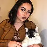 Peau, Lip, Hand, Bras, Shoulder, Eyebrow, Yeux, Chat, Eyelash, Comfort, Neck, Felidae, Carnivore, Lipstick, Small To Medium-sized Cats, Finger, Black Hair, Lap, Thigh, Moustaches