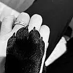 Hand, Bras, Cloud, Jambe, Black, Flash Photography, Nail, Gesture, Black-and-white, Finger, Plante, Style, Petal, Thumb, Wrist, Tints And Shades, Noir & Blanc, Monochrome, Human Leg, Foot
